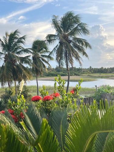 Příroda nedaleko penzionu – hostince