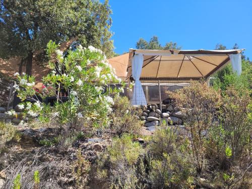 a garden with a house with a roof at Lodge de Travo in Ventiseri