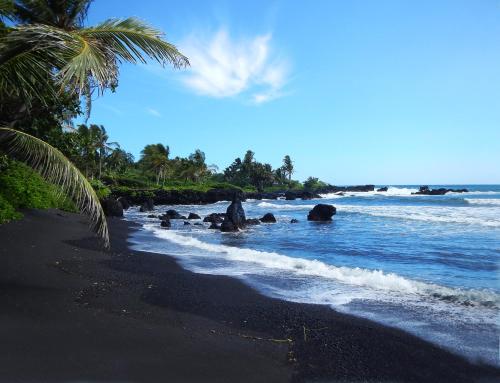 a beach with black sand and palm trees and the ocean at Hana Kai Maui - #204 Waiohinu, upper floor 1 BR in Hana