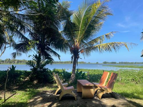 two chairs and a table in front of a palm tree at LakeSide Cabana Tissamaharama in Tissamaharama