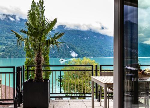 a palm tree on a balcony with a view of the water at Spirit Apartments - The Penthouse - Lake View - Parking in Brienz
