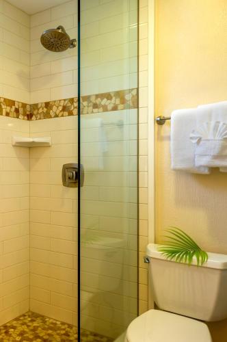 a bathroom with a toilet and a glass shower at Hana Kai Maui - #205 Mokuhano, upper floor studio in Hana