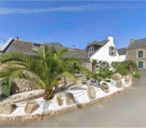 une maison avec un palmier devant dans l'établissement Vivez la magie de Carnac au coeur des alignements, à Carnac