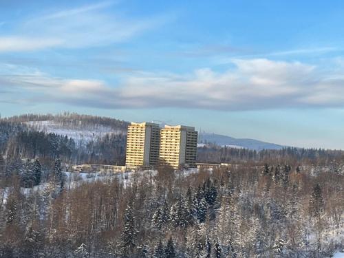 a building in the middle of a snow covered forest at Atempause und erholsame Zeit im Harz in Braunlage