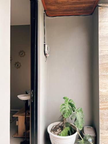 eine Pflanze in einem weißen Topf, die in einem Türrahmen steht in der Unterkunft AZ Villa Batu M14 - Fullhouse 3 Bedroom in Tlekung