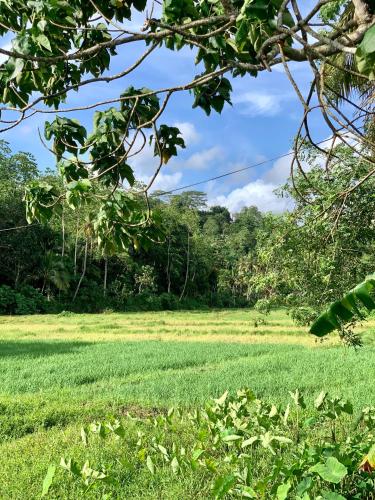 Un paisaje natural cerca of the bed and breakfast