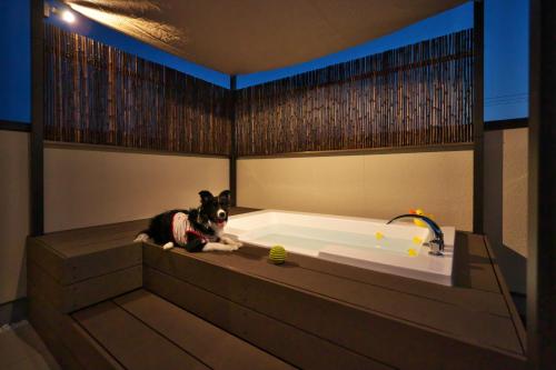 Fotografie z fotogalerie ubytování いっぷく v destinaci Kanazawa