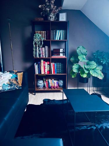 a living room with a book shelf filled with books at La Maison Attila en Ardennes in Libin