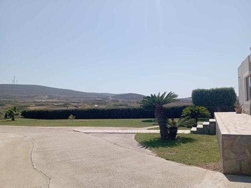 a driveway with a palm tree next to a building at Katavias House in Kattavía