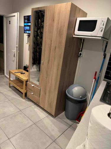 TV a/nebo společenská místnost v ubytování Studio plus proche metro 13