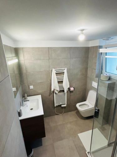 une salle de bain avec un lavabo et des toilettes dans l'établissement Appartement T2 Corte, à Corte