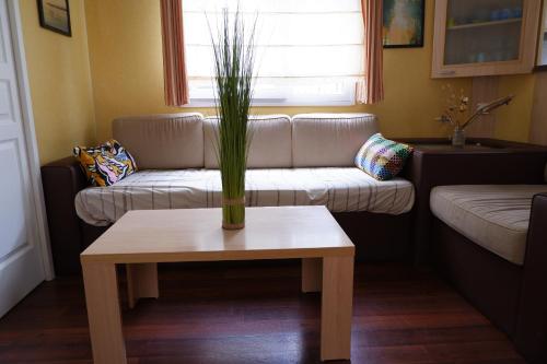 a living room with a couch and a table with a plant at LE CARRELET Mobil home climatisé INSOLITE & COSY 4 à 6 Personnes in Sémussac