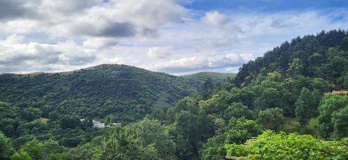 Photo de la galerie de l'établissement Auberge des Ruisseaux, à Saint-Joseph-des-Bancs