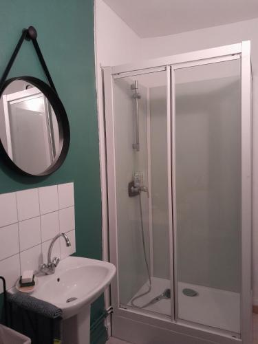 une salle de bain avec une douche, un lavabo et un miroir dans l'établissement Bel F1 calme et central, à Gournay-en-Bray