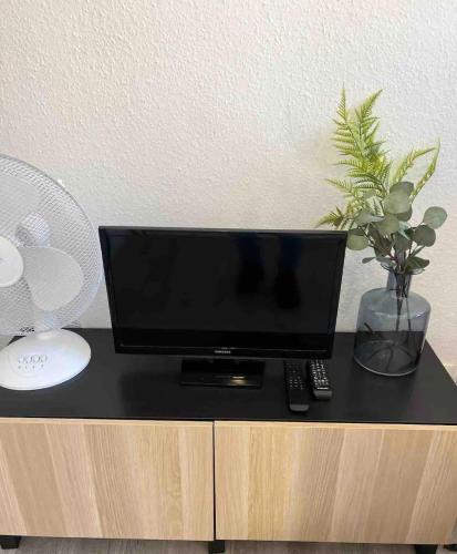 une télévision sur un meuble avec un vase de fleurs dans l'établissement Superbe studio, NEUF, st Cyprien, à Toulouse