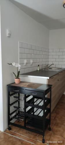 - un comptoir dans une cuisine avec un évier et une table dans l'établissement A l ombre du figuier, à Cagnac-les-Mines