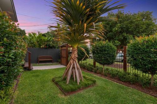 a palm tree in a yard next to a fence at Redcliffe CBD Family Beach House in Redcliffe