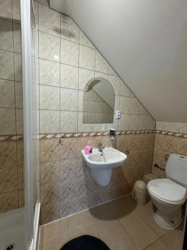a bathroom with a sink and a toilet and a mirror at Milena -Noclegi in Pożrzadło
