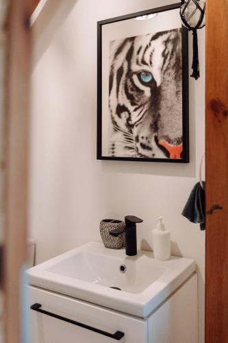a bathroom with a white sink and a picture of a tiger at Dom na Zaciszu Charzykowy in Charzykowy