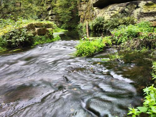 a stream flowing through a forest with rocks at Ubytování Goliáš in Krásná Lípa