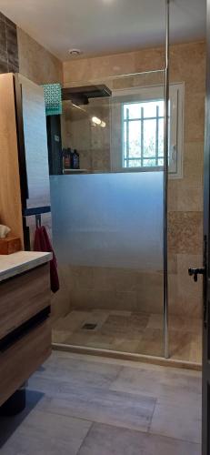 une douche avec une porte vitrée dans une salle de bain dans l'établissement Le confort proche de l'étang, à Marseillan