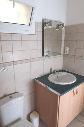 une salle de bain avec un lavabo et des toilettes dans l'établissement Studio 30 m2 proche de Porticcio et d'Ajaccio, à Eccica-Suarella