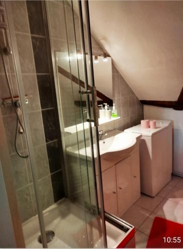une salle de bain avec douche et lavabo dans l'établissement Au Chasseur, à Colmar
