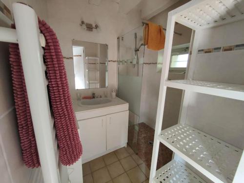 une salle de bain avec un lavabo, une douche et un miroir dans l'établissement Le trainefeuilles,confortable,chaleureux,200m du zoo, à Saint-Aignan