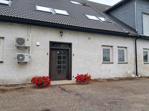 a house with two flowers in front of a door at Crystal apartment in Audru