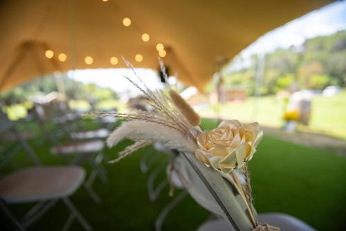 a flower in a vase on a table with an umbrella at Glamping VALL de CODÓ in Terrades