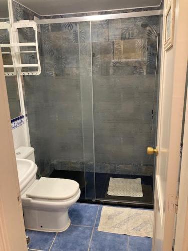 a bathroom with a toilet and a glass shower at Casa Camar in Corralejo