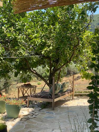 a bench sitting under a tree in a garden at Dinateli Houses - Live like a local in Corfu in Kastellánoi