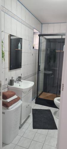 a bathroom with a shower and a sink and a toilet at Ram in Piteşti
