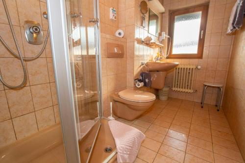 a bathroom with a toilet and a shower at Gästehaus Christa in Obermaiselstein