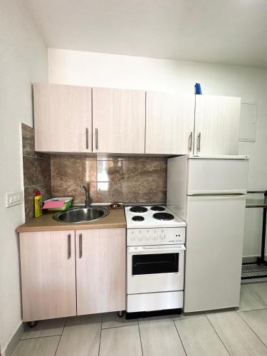 Η κουζίνα ή μικρή κουζίνα στο Apartments Mango