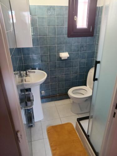 une salle de bain avec toilettes et lavabo dans l'établissement La Bulle temporelle d'Hélène, à Saint-Cyprien