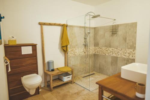 a bathroom with a shower and a toilet and a sink at La Kaz Venelle in Saint-Pierre