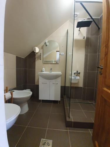 a bathroom with a toilet and a sink and a shower at PENSIUNEA LEIA Transfăgărășan in Cîrţişoara