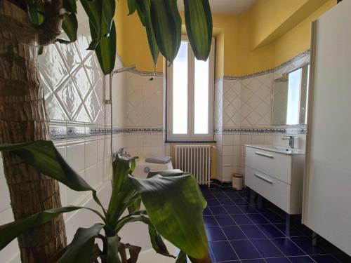 a bathroom with a plant in the middle of it at Maison de Maître L Oustal des Halles avec salle de cinéma, billard & Jacuzzi in Castelnaudary