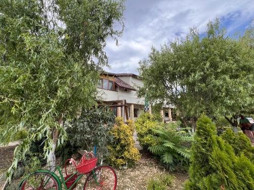 a house with a red bike in a garden at Casa Vera, Tudor Vladimirescu in Tulcea