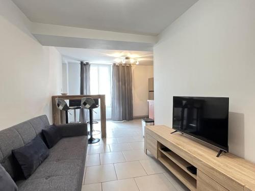 un salon avec un canapé et une télévision à écran plat dans l'établissement Appart du Bourg 2 chambres Olivet Centre, à Olivet