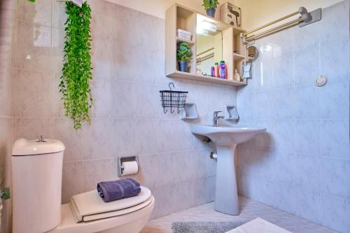 a bathroom with a toilet and a sink at Kodelo summer house in Corfu