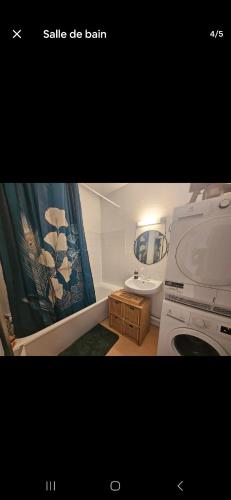 une salle de bain avec un lavabo et des toilettes et un lavabo die ball dans l'établissement Bel appartement proche CDG-PARIS-ASTERIX, à Marly-la-Ville
