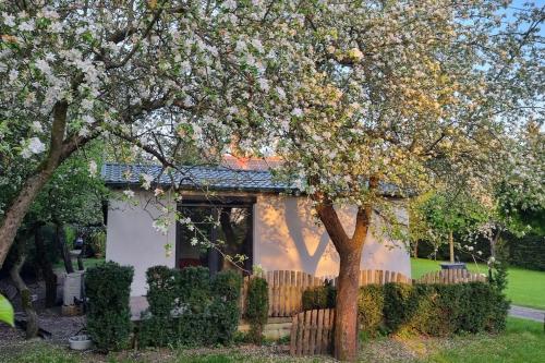 Taman di luar pod jabłonią