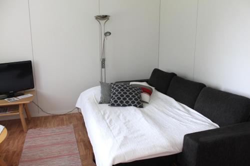 a living room with a couch and a tv at Salonkylän koulu in Kaustinen