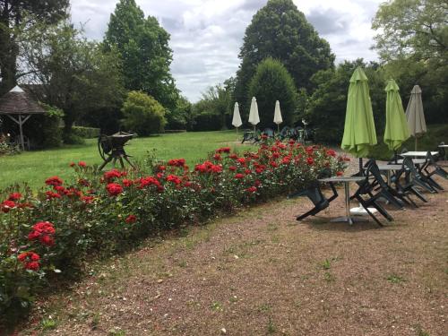 une rangée de tables et de parasols dans un parc fleuri dans l'établissement auberge andaine, à La Ferté-Macé