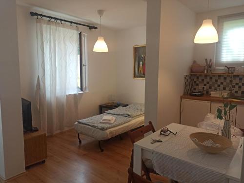Fotografie z fotogalerie ubytování Apartman Unikat v destinaci Gornja Toplica