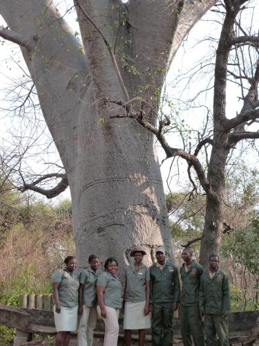 a group of people standing in front of a tree at Muchenje Self Catering Cottages in Muchenje