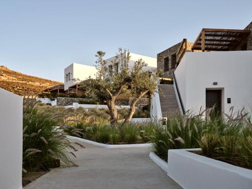 a walkway leading to a white building with a tree at Anemelia Hotel Mykonos in Elia Beach
