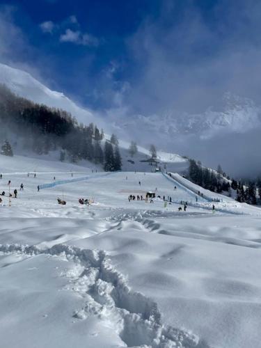 Edelweiss Hotel Champoluc v zimě